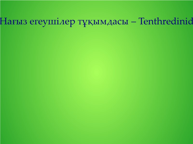 Нағыз егеушілер тұқымдасы – Tenthredinidae. Алдыңғы аяқтарының сирағы 2 тепкілі жалпақ денелі бунақденелілер. Дернәсілдерінің